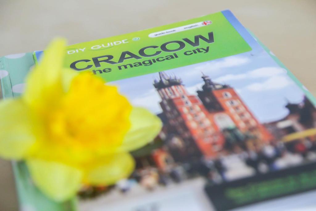 Okay House Bed & Breakfast Krakow Bilik gambar